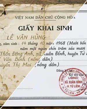Phục hồi giấy tờ — kết quả mẫu